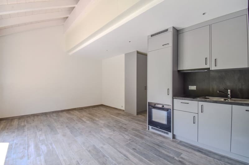 Duplex moderne de 2.5 pièces au coeur d'Ollon (4)