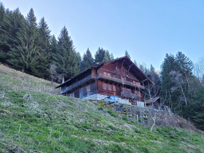Ancienne ferme de 1916 au coeur de la nature - Val d'Illiez (3)
