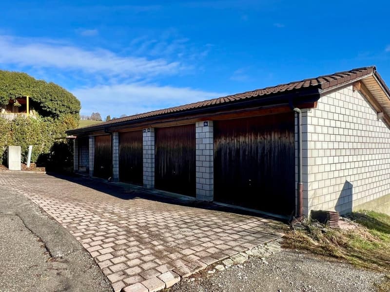 Villa individuelle 5.5 pièces avec vue panoramique à Plasselb (11)