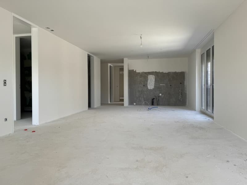Gehoben Wohnen mit Sicht über den grossen Park des Ziegelei-Quartiers (E 1.2) (2)