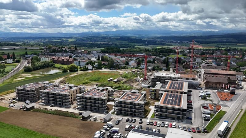 Moderne Grundrisse für modernes Leben - Ziegelei-Quartier Berg (2)