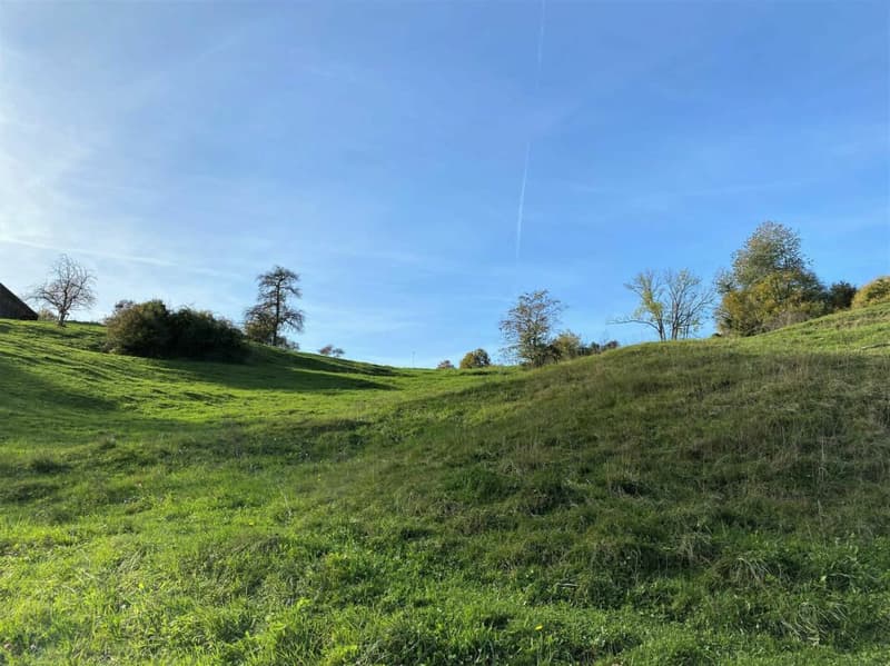 Bauparzelle, Steig, Herdern