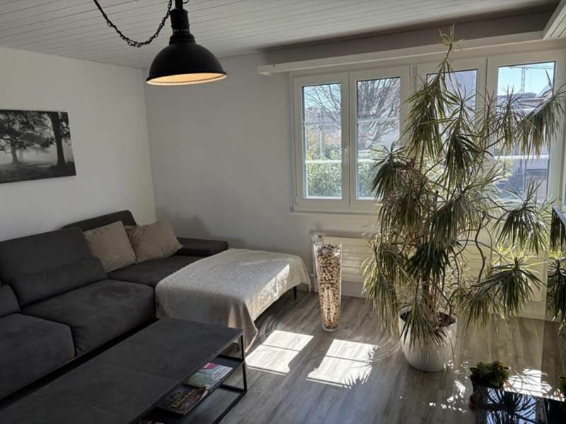 Wohnen mit Mehrwert: charmante 4.5-Zimmer-Wohnung verbindet ruhige Lage mit zentraler Erreichbarkeit (5)