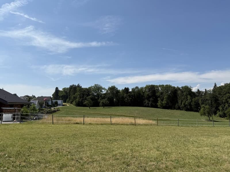 Neubau 5.5-Zi.-Doppeleinfamilienhaus an erhöhter Wohnlage mit Weitsicht in Amlikon-Bissegg (Haus A) (4)