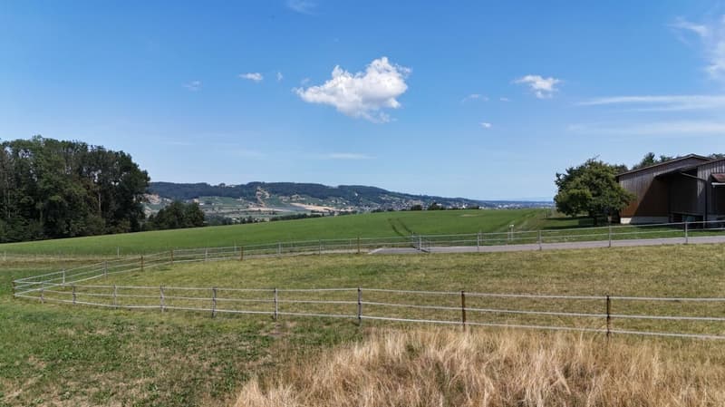 Neubau 5.5-Zi.-Doppeleinfamilienhaus an erhöhter Wohnlage mit Weitsicht in Amlikon-Bissegg (Haus A) (2)