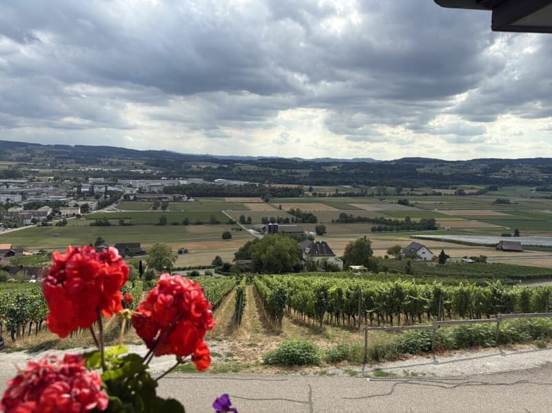 Wohnen mit Weitblick - charmante 2-Zimmer-Wohnung am Ottoberg (1)