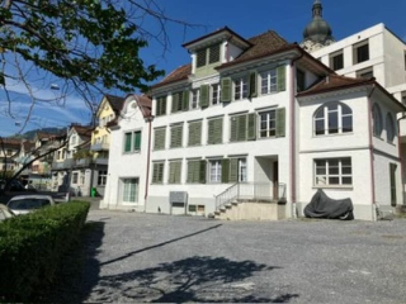 Frisch renovierte 2-Zi.-Maisonette-WG in Altstätten (2)