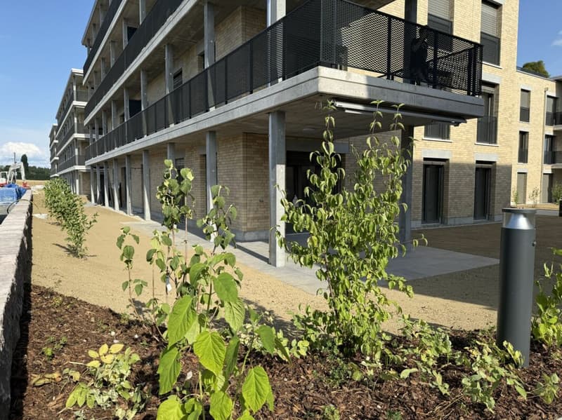 4.5-Zimmer-Erdgeschosswohnung mit grosszügigem Garten (D 0.5) (15)