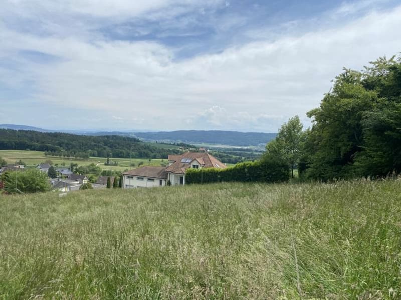 Exklusive Parzelle mit Weitsicht an gut besonnter Hanglage (4)