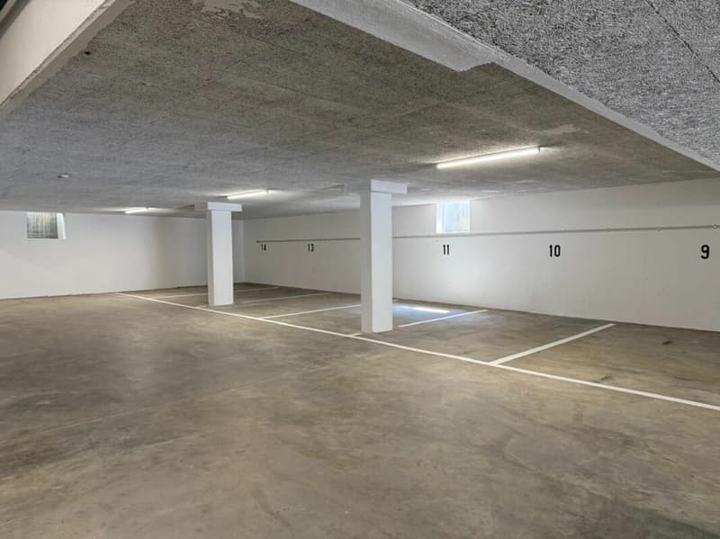 Einstellhallenplatz zu vermieten (1)