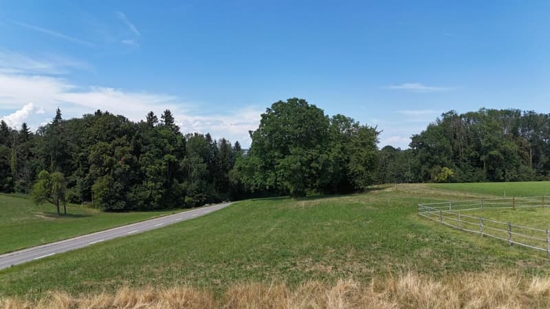 Neubau 5.5-Zi.-Doppeleinfamilienhaus an erhöhter Wohnlage mit Weitsicht in Amlikon-Bissegg (Haus A) (8)
