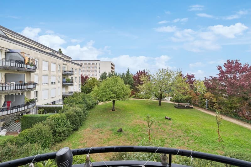 Lumineux appartement rénové avec soin et proche de tout - 1 parking (7)