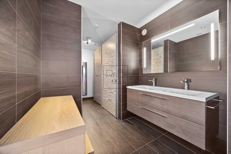Villa contemporaine d'exception sise à Marsens (7)