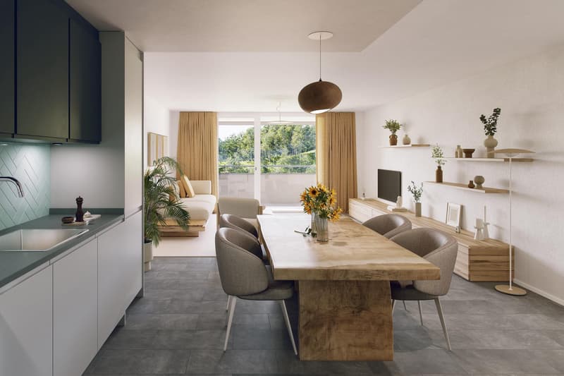 Superbe appartement de 3.5 pièces à Châtel?Saint?Denis (2)