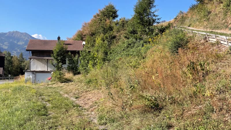 Maison à transformer en deux appartements, permis obtenu ? Gruyères (1)