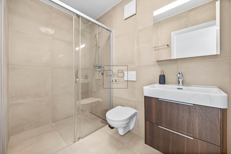 Belle maison contiguë sise à La Tour-de-Trême (9)