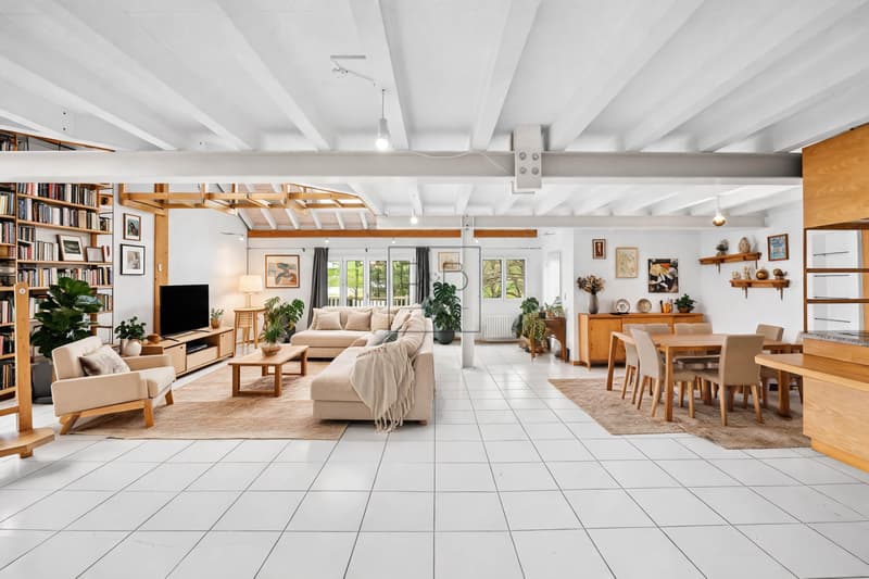 Magnifique duplex de 4,5 pièces au cachet unique (2)