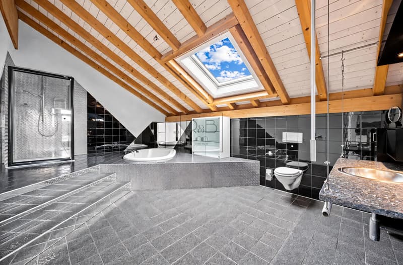 Magnifique duplex de 4,5 pièces au cachet unique (7)
