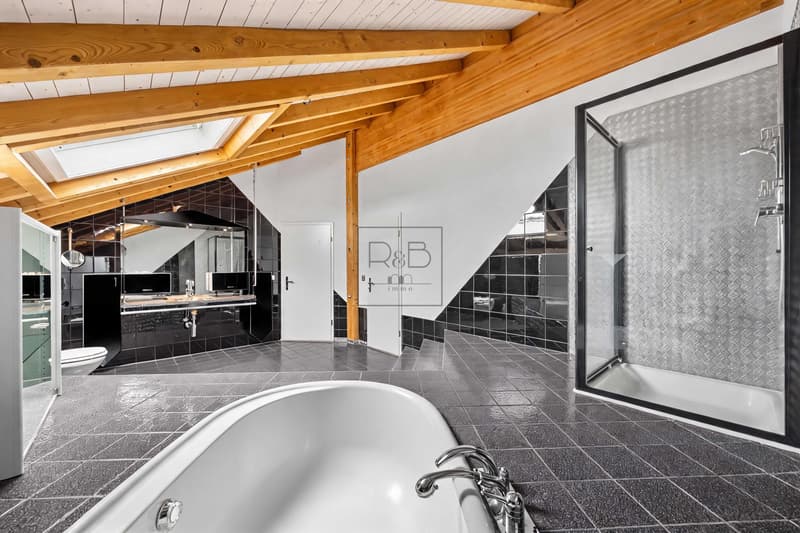 Magnifique duplex de 4,5 pièces au cachet unique (6)