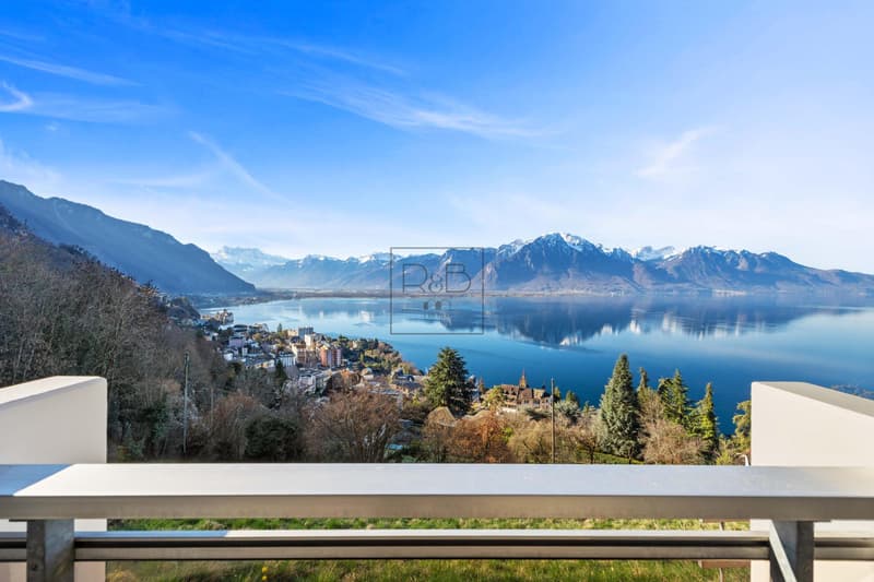 Splendide appartement de 2,5 pièces (7)