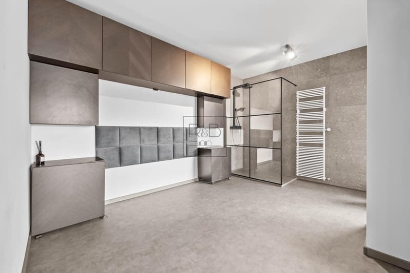 Splendide appartement de 2,5 pièces (3)