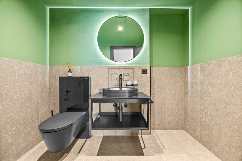 Splendide appartement de 2,5 pièces (4)