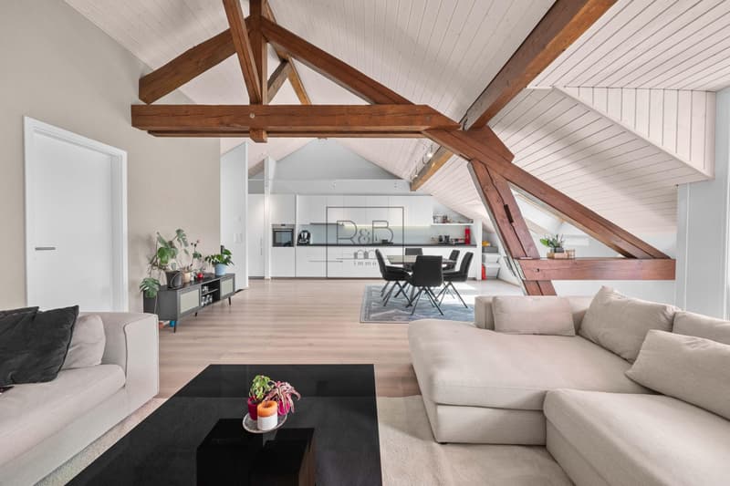 Magnifique duplex de 4,5 pièces à Bulle (3)