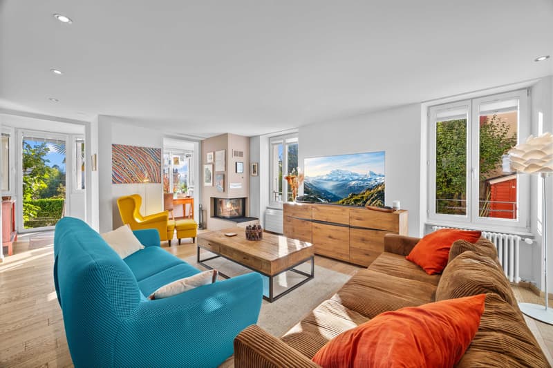 Magnifique maison individuelle de 9,5 pièces avec jardin ? Lausanne sous-gare (2)