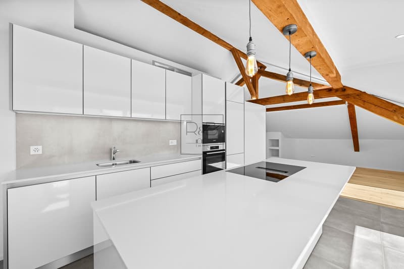 Loft rénové sous combles à Bulle (3)