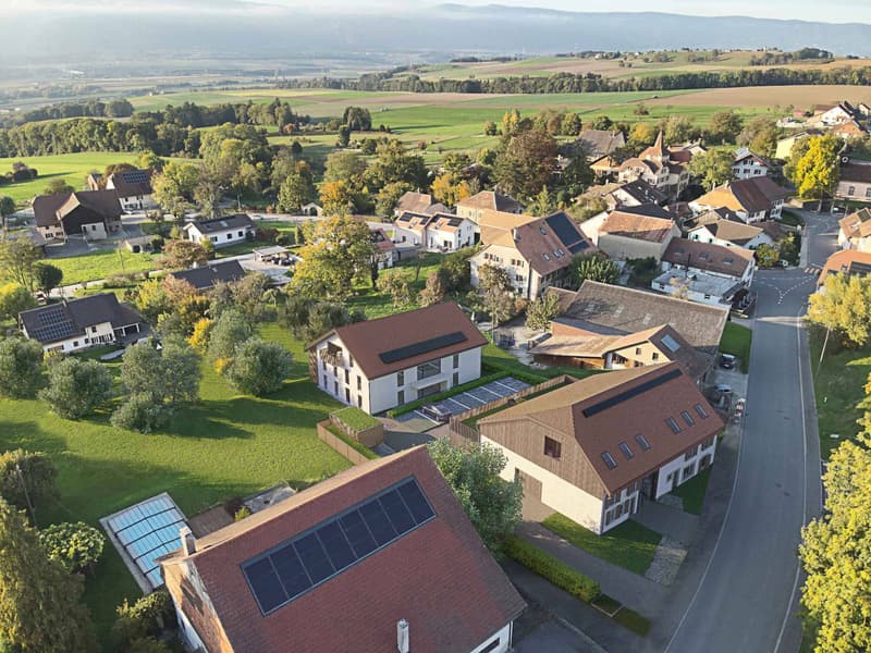 Appartement de 3.5 pièces en attique avec vue sur le Jura (1)