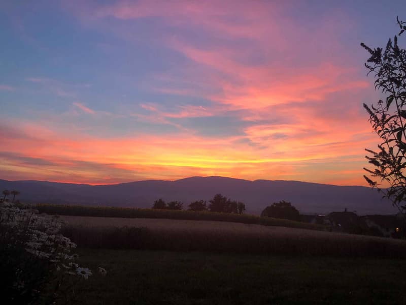 Appartement de 3.5 pièces en attique avec vue sur le Jura (8)
