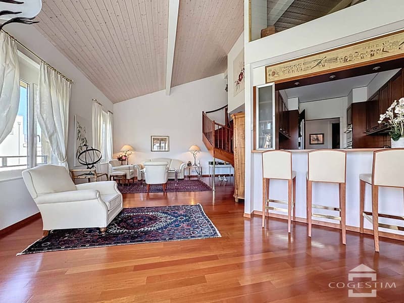Magnifique duplex en attique de 6.5 pièces (2)