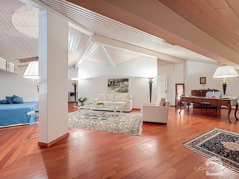 Magnifique duplex en attique de 6.5 pièces (3)
