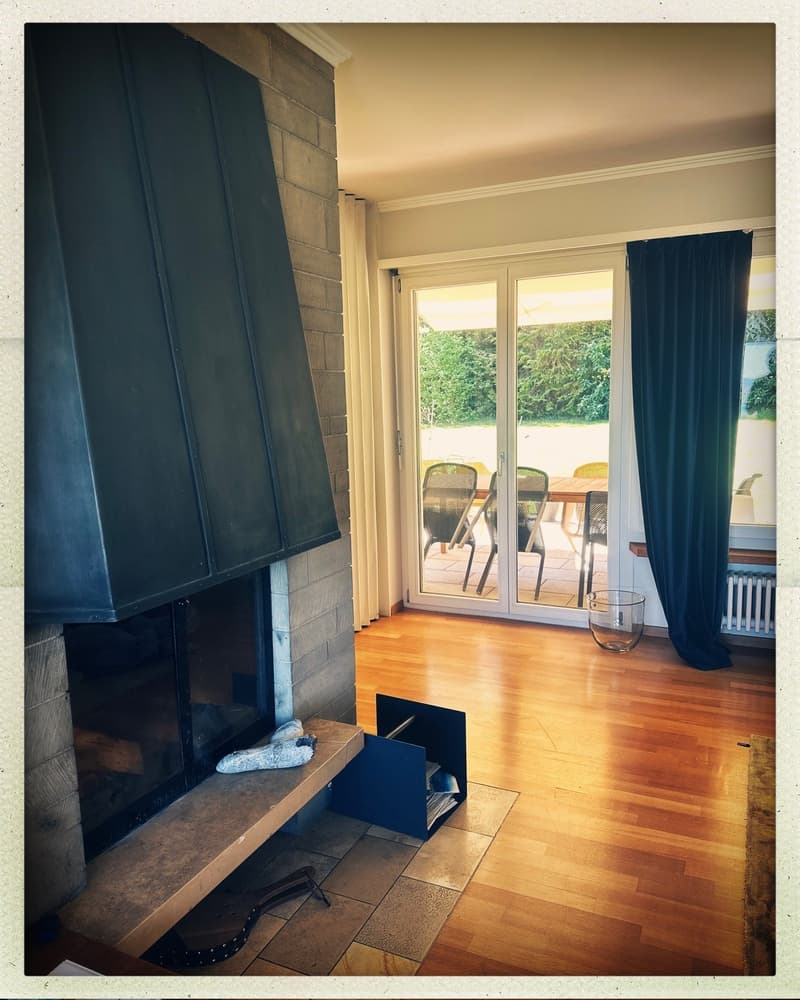 Grosszügiges 8.5-Zimmer-Einfamilienhaus mit Garten in Kreuzlingen (4)