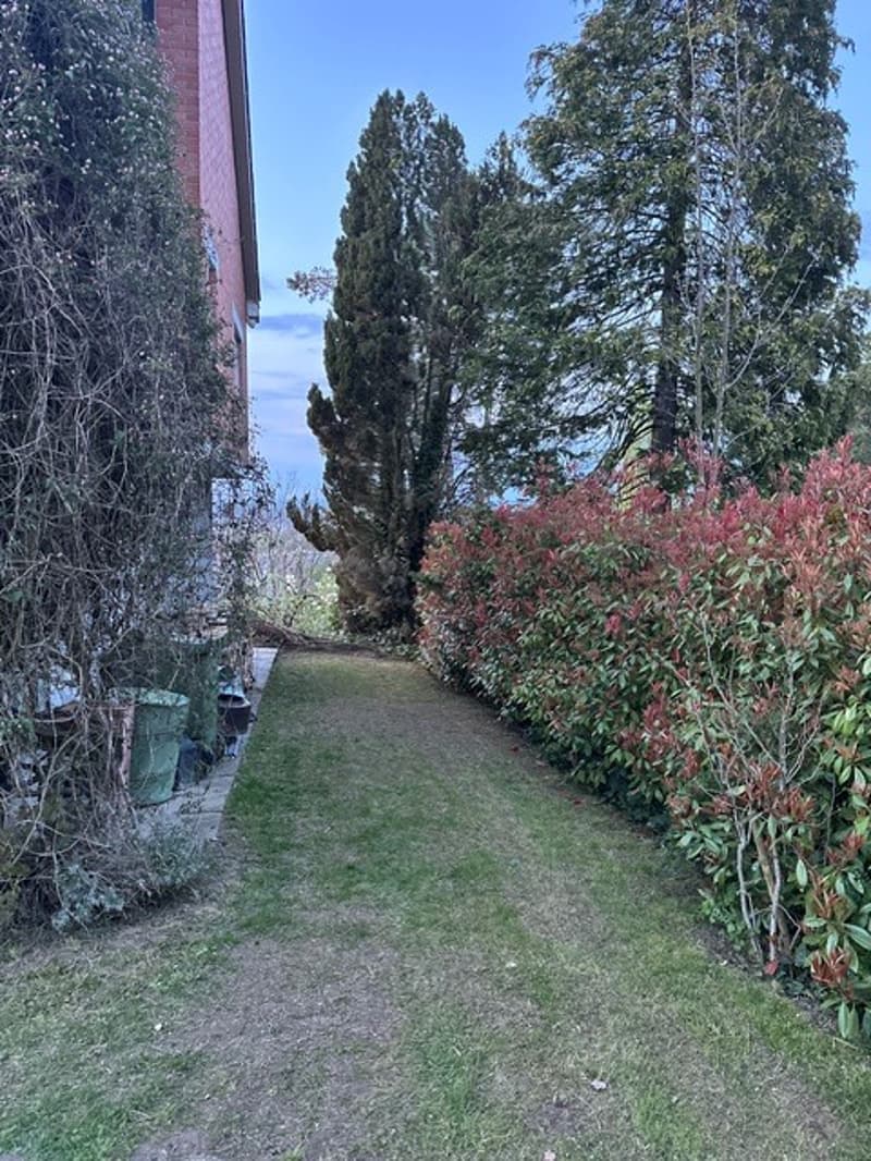 Grosszügiges 8.5-Zimmer-Einfamilienhaus mit Garten in Kreuzlingen (2)
