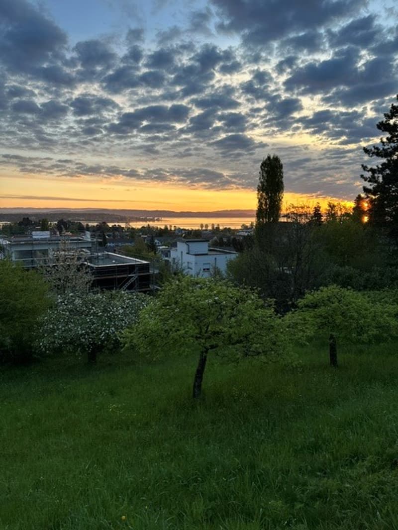 Grosszügiges 8.5-Zimmer-Einfamilienhaus mit Garten in Kreuzlingen (3)