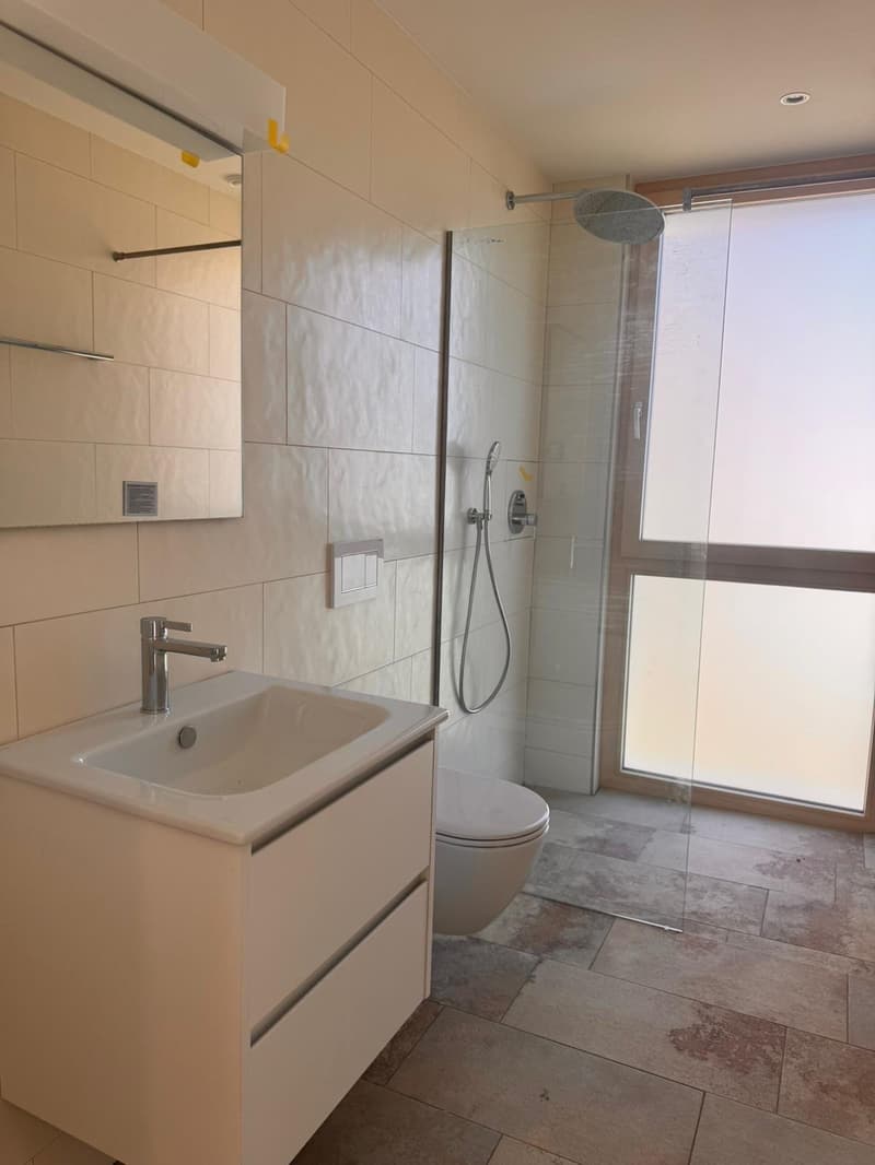 Grosszügige 4.5-Zimmer Attika Neubauwohnung an ruhiger Lage in Erlen mit grosser Attika-Terrasse (10)