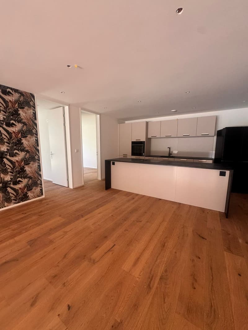 Attraktive 5.5 Zimmer Neubauwohnung an ruhiger Lage in Erlen (8)