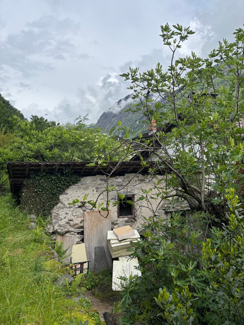 The image shows a rustic, overgrown outdoor area with a stone structure, wooden beams, and lush vegetation. There appears to be a balcony or terrace visible among the foliage. The background features a mountainous landscape with clouds. The overall scene