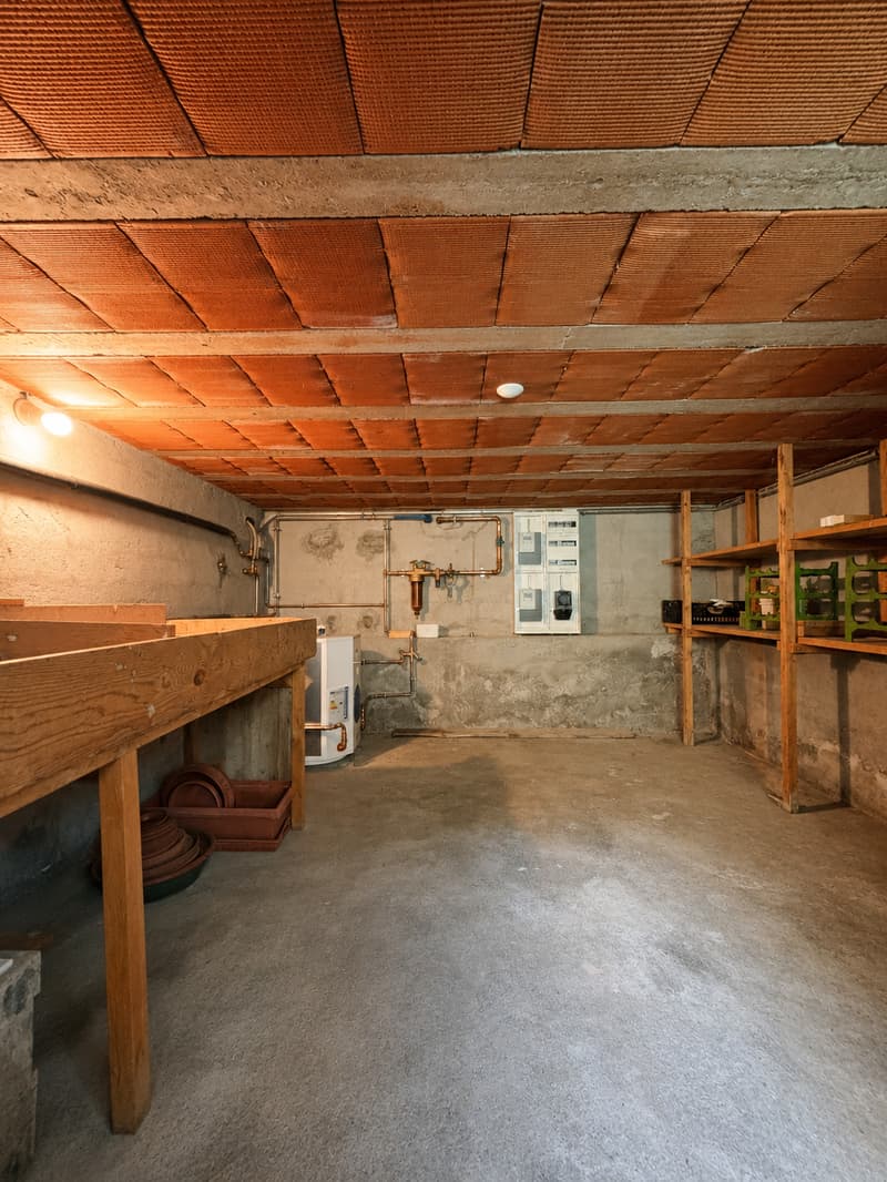 Casa di vacanza a Rossa con appartamento annesso (Valle Calanca-GR) (11)