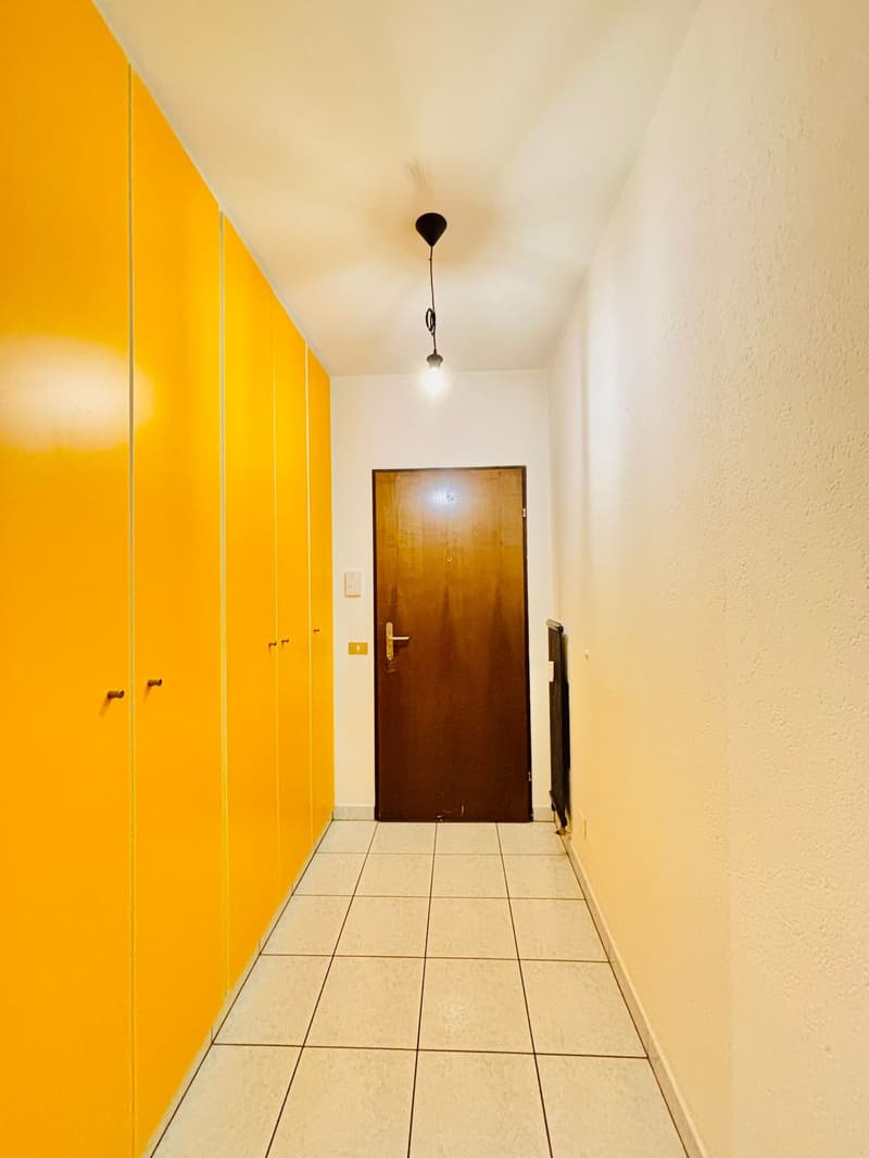 Accogliente appartamento 3.5 locali con vista montagna a Bodio (3)