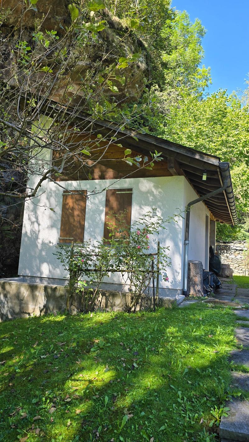 White house, wooden doors, surrounded by trees, small garden, rock background