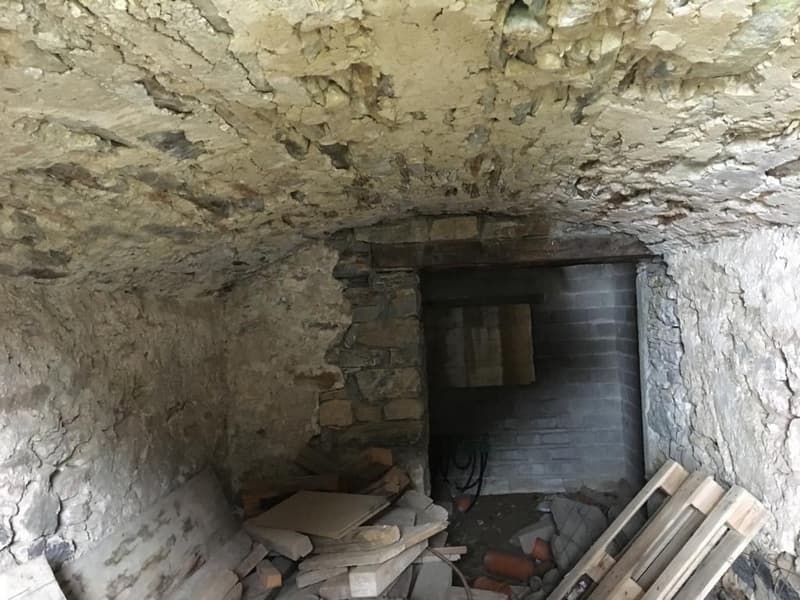 Cellar with a fireplace in the wall