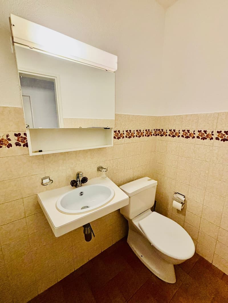 Small bathroom with toilet, sink, and mirror