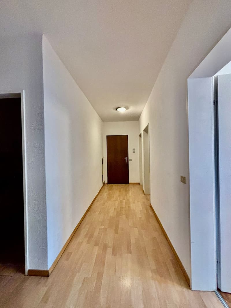 wooden floor, white walls, central lighting, wooden door at the end