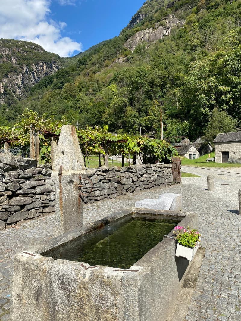 Stone wall surrounding, water basin, flowers in pot, mountain background