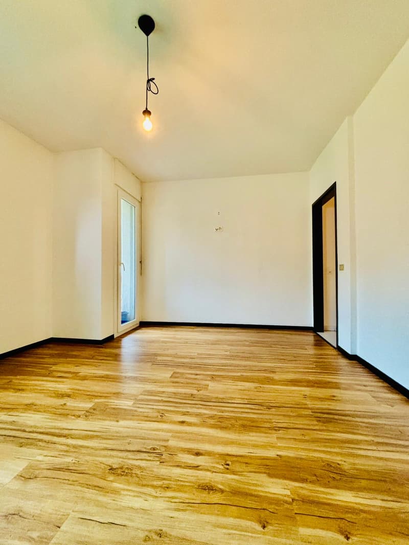 Wooden floor, white walls, empty room, large windows, lamp on ceiling, two doors