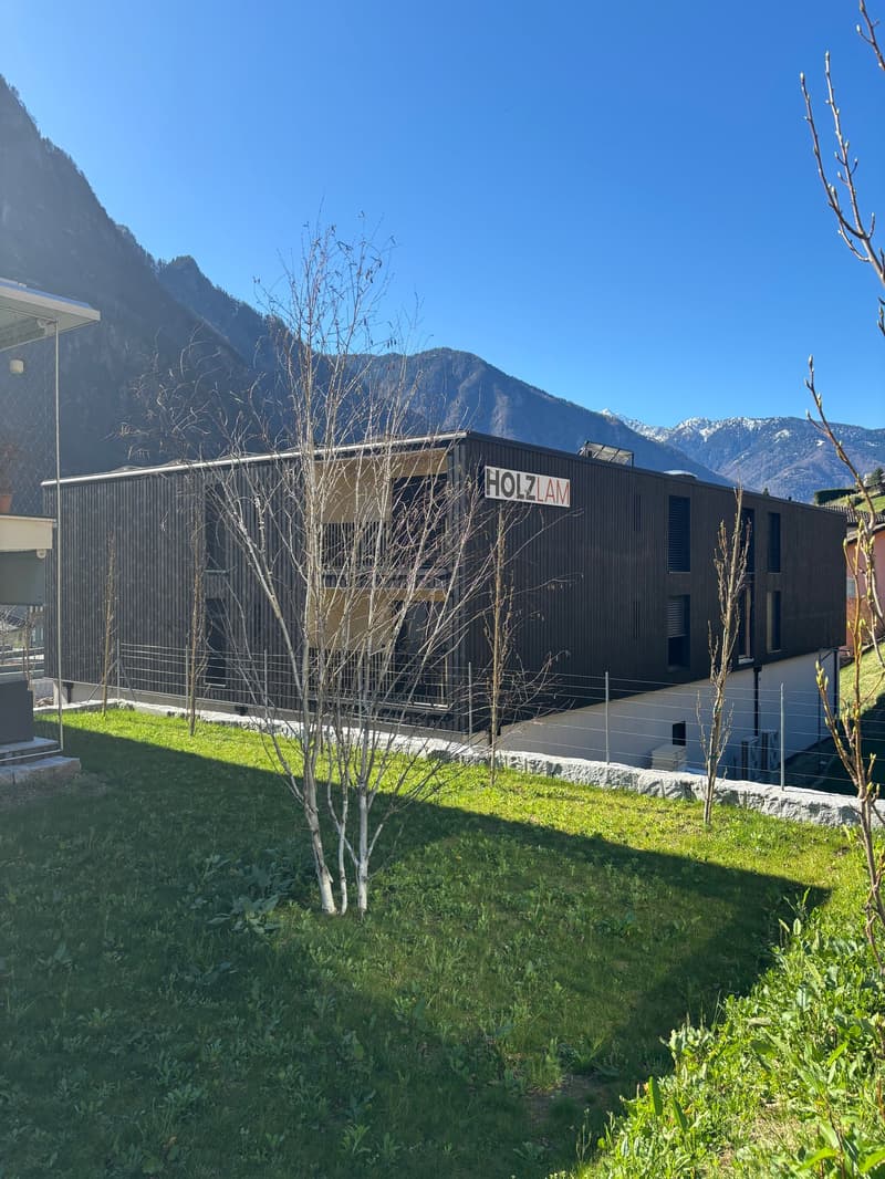 Modern architectural building with large windows, mountain backdrop, green lawn, black exterior, white sign 'HOLZAM'.