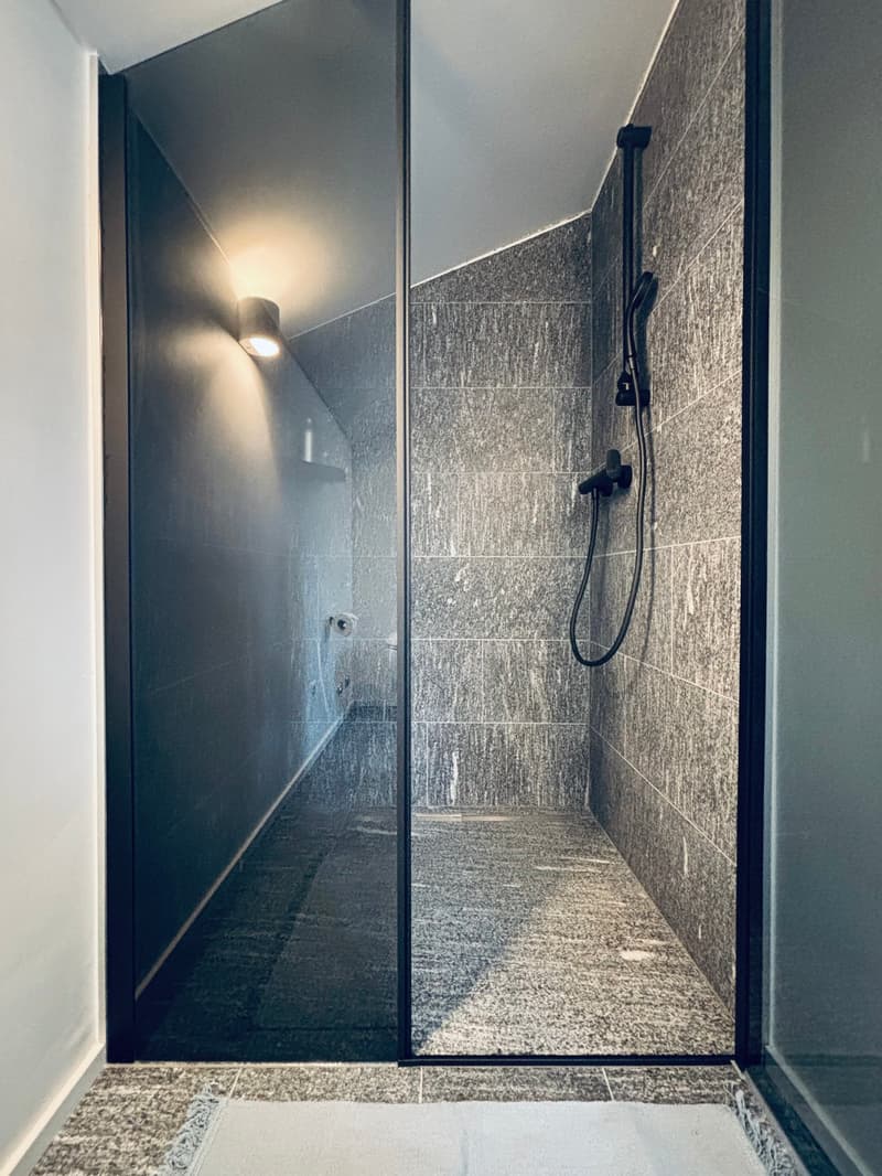 Modern shower area with glass walls, tiled floor, corner shower with overhead showerhead, illuminated by ceiling light.