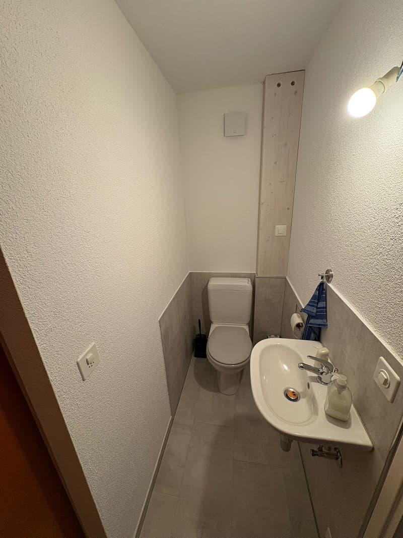 Freistehendes Haus im sonnigen Tal  Calanca, in Santa Domenica GR (6)